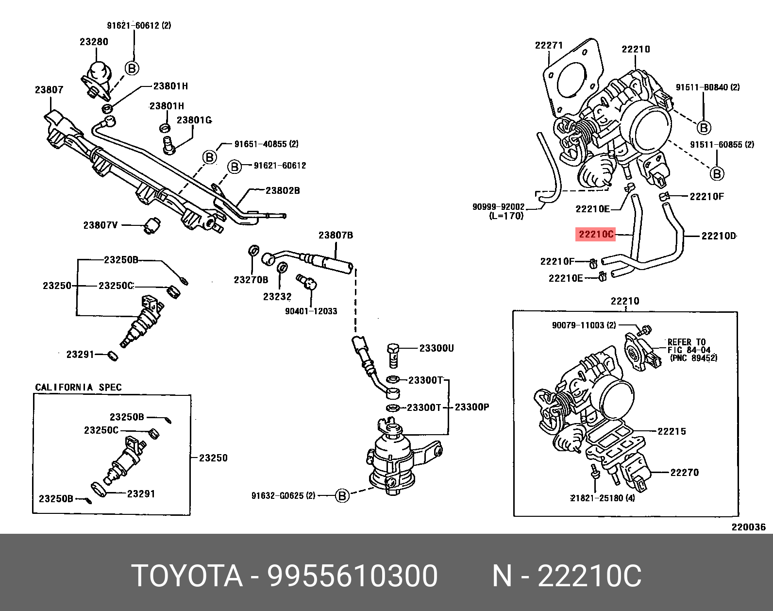 99556-10300 TOYOTA LEXUS HOSE