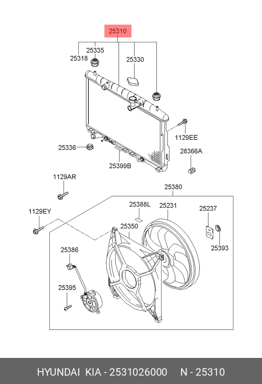 RADIATOR MOTOR