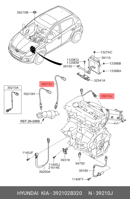 SENSOR ASSY-OXYGEN